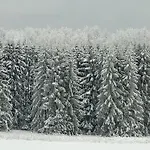 Kirschbluete * Monschau