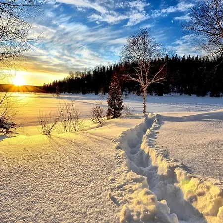 Kirschbluete * מונשאו