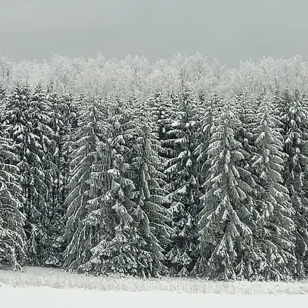 Kirschbluete * Monschau