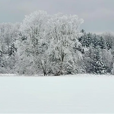 Kirschbluete בית נופש *