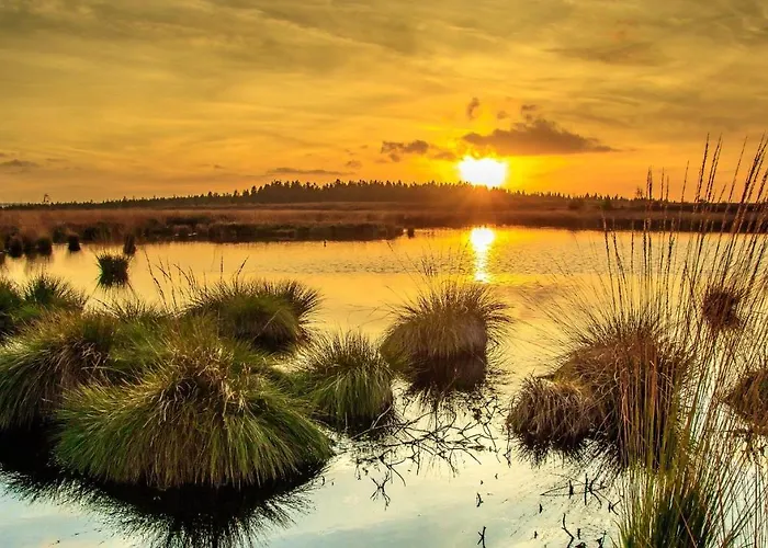 Kirschbluete Holiday home Monschau