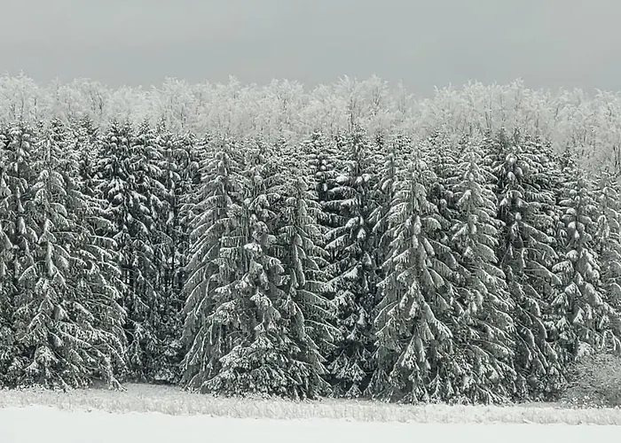 Kirschbluete * Monschau