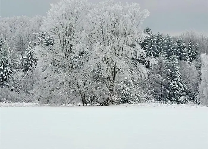Kirschbluete Holiday home *